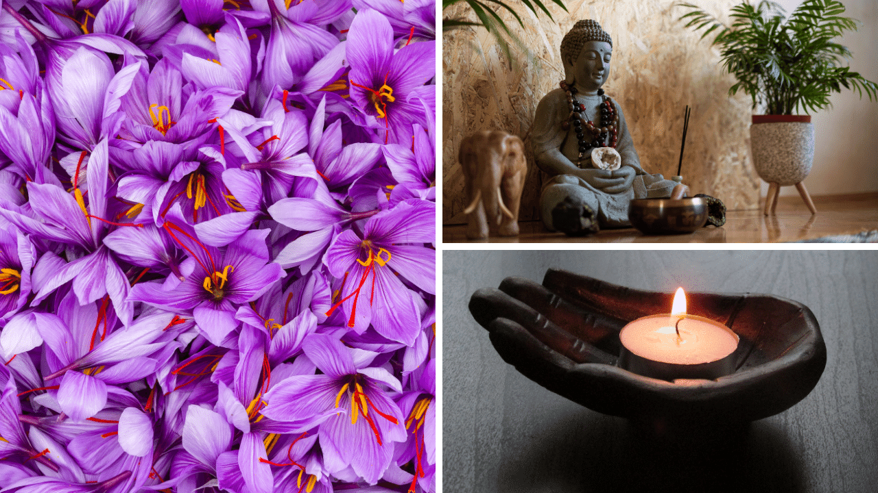Photos and images of meditation and harmony