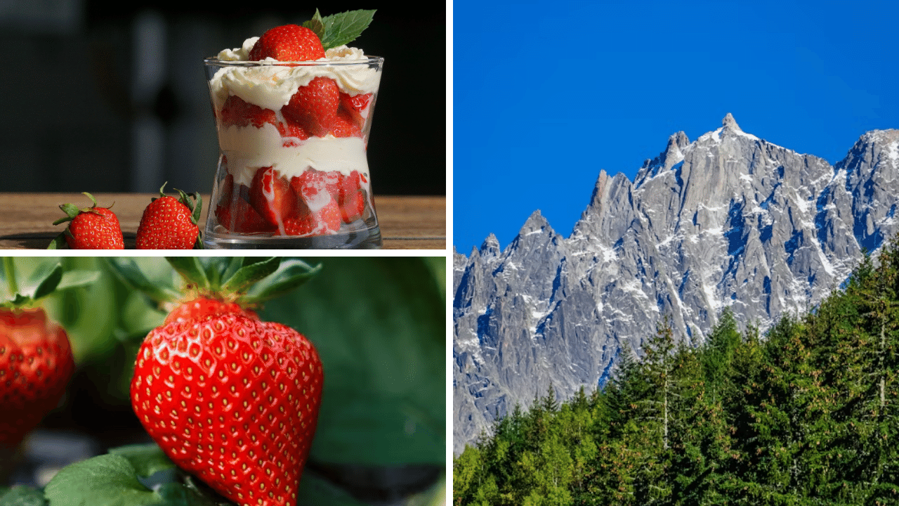 Strawberries: Nature's Superfood You Can't Ignore🍓